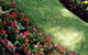 Cessnock Landscaping Supplies - thumb 3