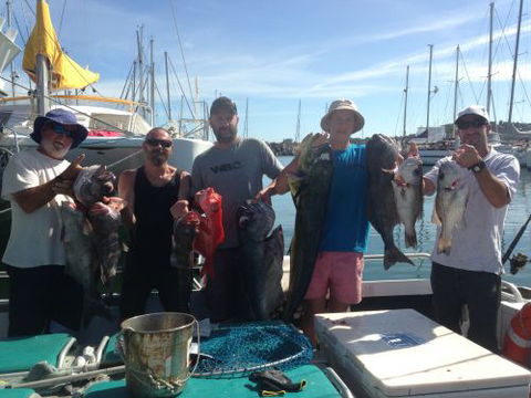 KC’s Fishing Charters - Internet Find 1