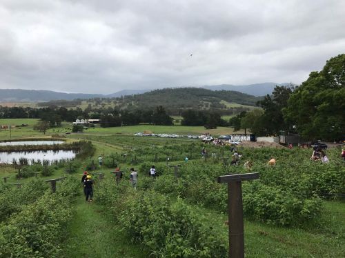 Marshall Mount NSW Internet Find