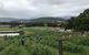 Kareelah Berry Farm - thumb 0