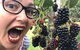 Kareelah Berry Farm - thumb 1