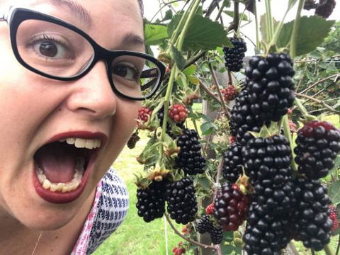 Kareelah Berry Farm - Internet Find 1
