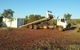 Woodsbey Transport & Contracting Pty Ltd - thumb 0