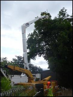 Rubbish Waste Removal Cairns QLD Internet Find