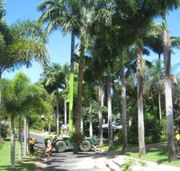 NQ Tree Lopping - Internet Find