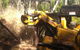 A1 Tree Service NSW Pty Ltd - thumb 0