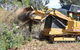 A1 Tree Service NSW Pty Ltd - thumb 5