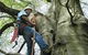 Complete Tree Management - thumb 7