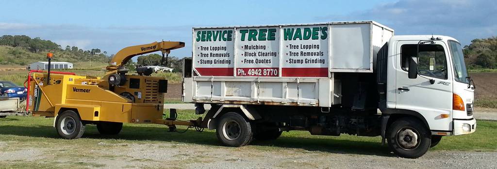 Tree Stump Removal Nindaroo QLD Internet Find