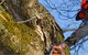 Diverse Asset Maintenance Services - thumb 0