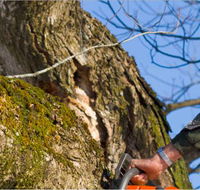 Diverse Asset Maintenance Services - Internet Find