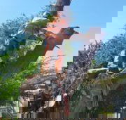 Treespec CQ - Internet Find