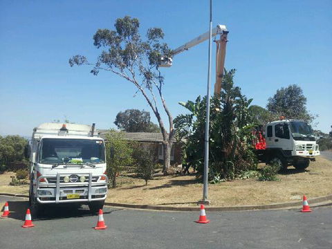 D & C Tree Services P/L - Internet Find 0