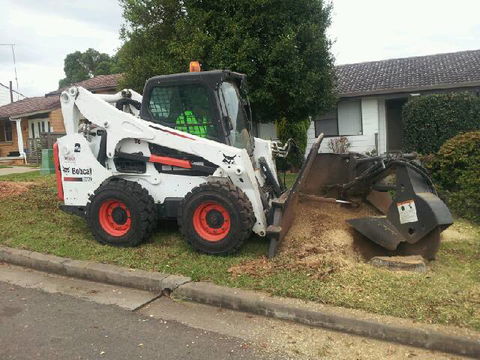 D & C Tree Services P/L - Internet Find 2