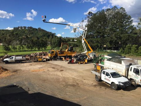 Cubis Steve–Lismore/Evans Head Tree Services - Internet Find 0