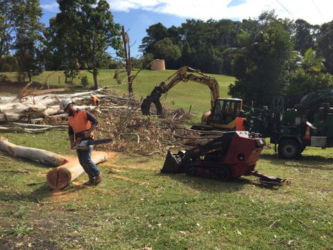 Cubis Steve–Lismore/Evans Head Tree Services - Internet Find 1