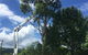 Cubis Steve–Lismore/Evans Head Tree Services - thumb 4