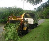 Tree Stump Removal Noosa Heads QLD Internet Find