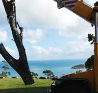 PW Tree Services - Internet Find