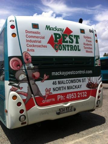Pest Control Mount Pleasant QLD Internet Find