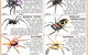 Mackay Pest Control - thumb 5