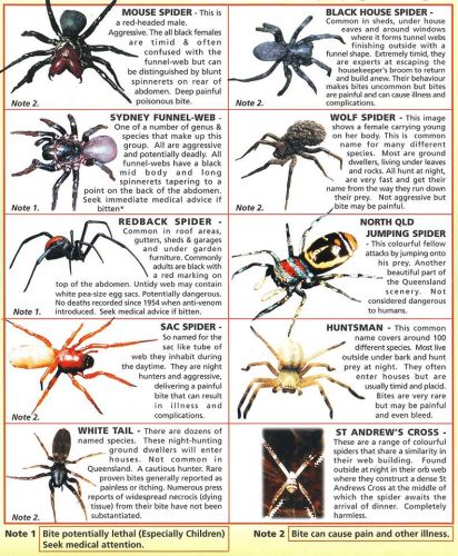 Mackay Pest Control - Internet Find 5