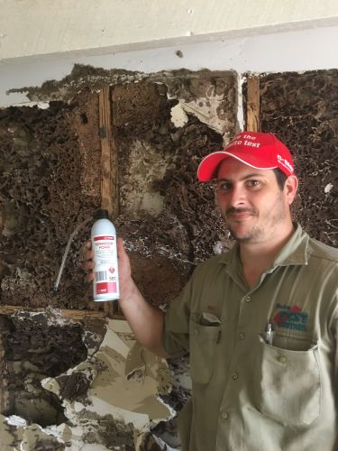 Mackay Pest Control - Internet Find 9