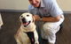 Sugarland Animal Hospital - thumb 2