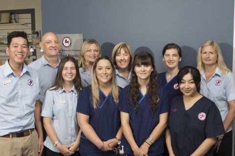 Sugarland Animal Hospital - Internet Find 3