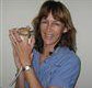 Ulysses Veterinary Clinic Cairns - Internet Find