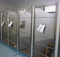Marlin Coast Veterinary Hospital - Internet Find
