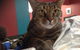 Litchfield Veterinary Hospital - thumb 1