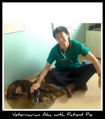 Howard Springs Veterinary Clinic - Internet Find 1