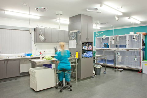 Edgeworth Animal Medical Centre - Internet Find 0
