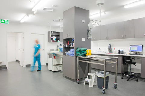 Edgeworth Animal Medical Centre - Internet Find 1