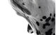 Lismore Central Veterinary Hospital - thumb 4