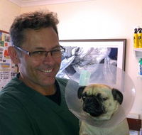 Lennox Head Vet Clinic - Internet Find