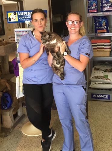 Eumundi Vet - Internet Find 1
