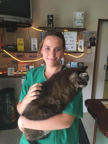 Eumundi Vet - Internet Find 4