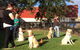 Wingham & Valley Vets - thumb 4
