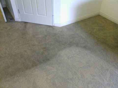 Carpet Clinic NT - Internet Find 2