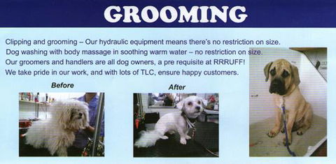RRRUFF! Dog Depot - Internet Find 2
