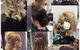 Hair Blitz - thumb 0