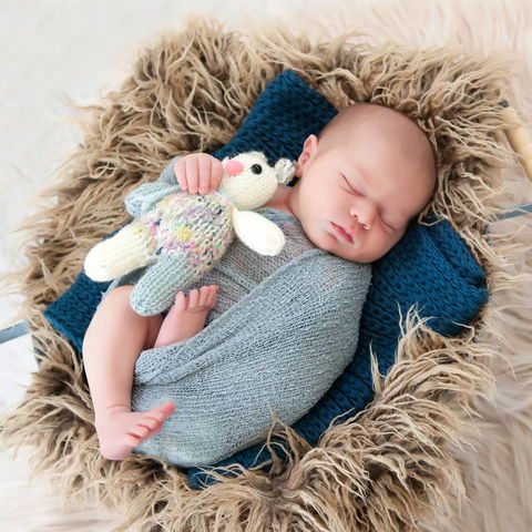 Lee-Ann Wilson Photography - Internet Find 4