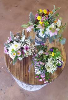 Emerald QLD Internet Find