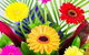 The Enchanted Florist - thumb 1
