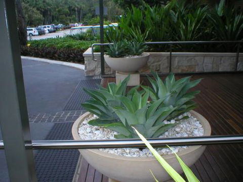 Northern Rivers Plant Hire - Internet Find 2