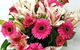 The Garden Florist - thumb 2