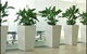 Living Green Indoor Plant Hire - thumb 0