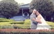 Photography By Melissa Lee - thumb 1